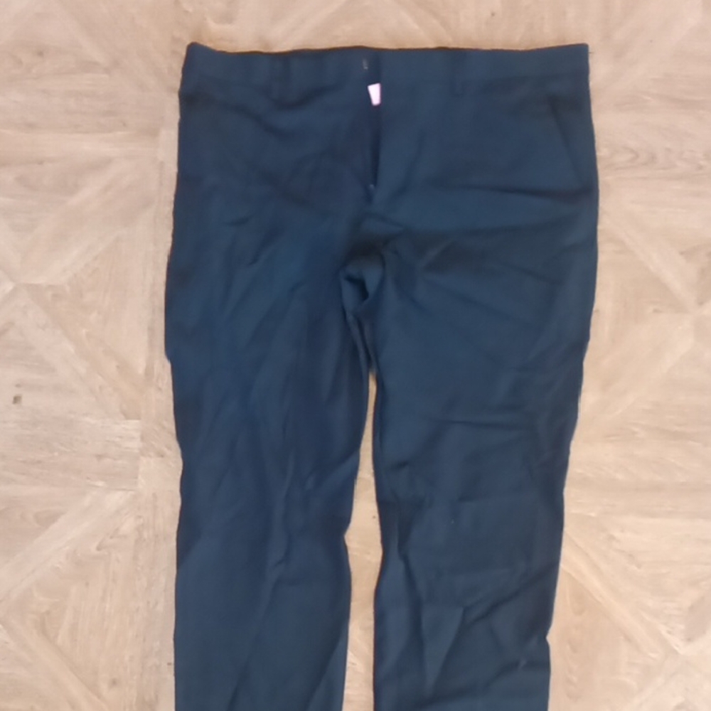 Express Performance Pants